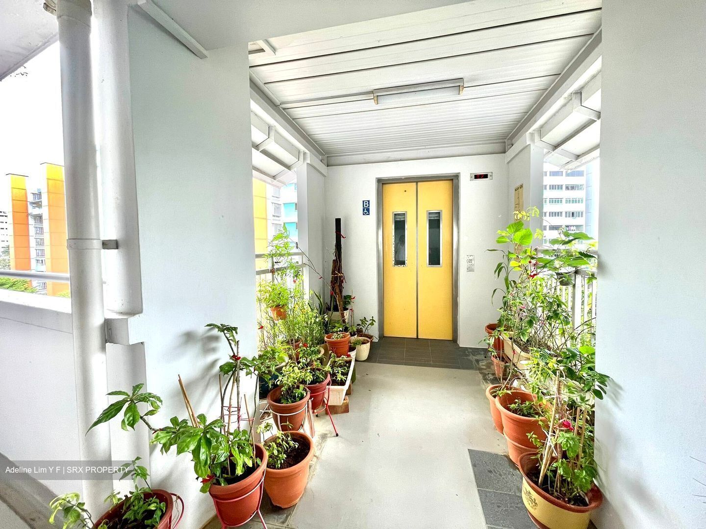 Blk 434 Ang Mo Kio Avenue 10 (Ang Mo Kio), HDB 3 Rooms #389103181